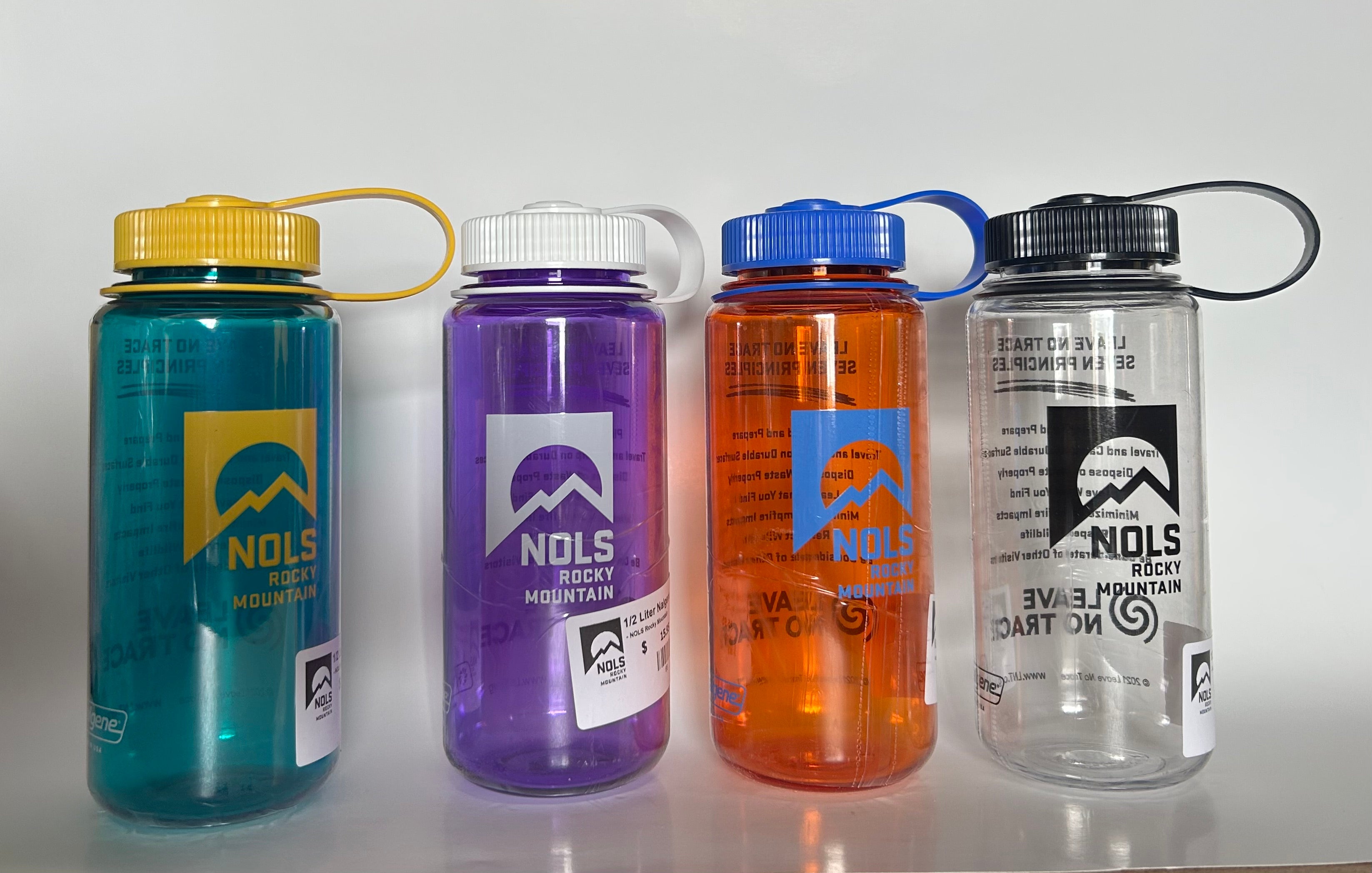 NOLS Rocky Mountain 16oz Nalgene – NOLS Store